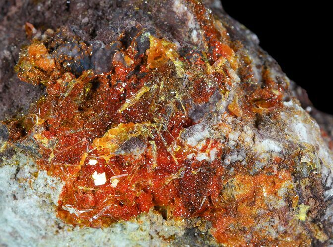 Bright Orange Wulfenite Crystals on Matrix - Rowley Mine, AZ #49380